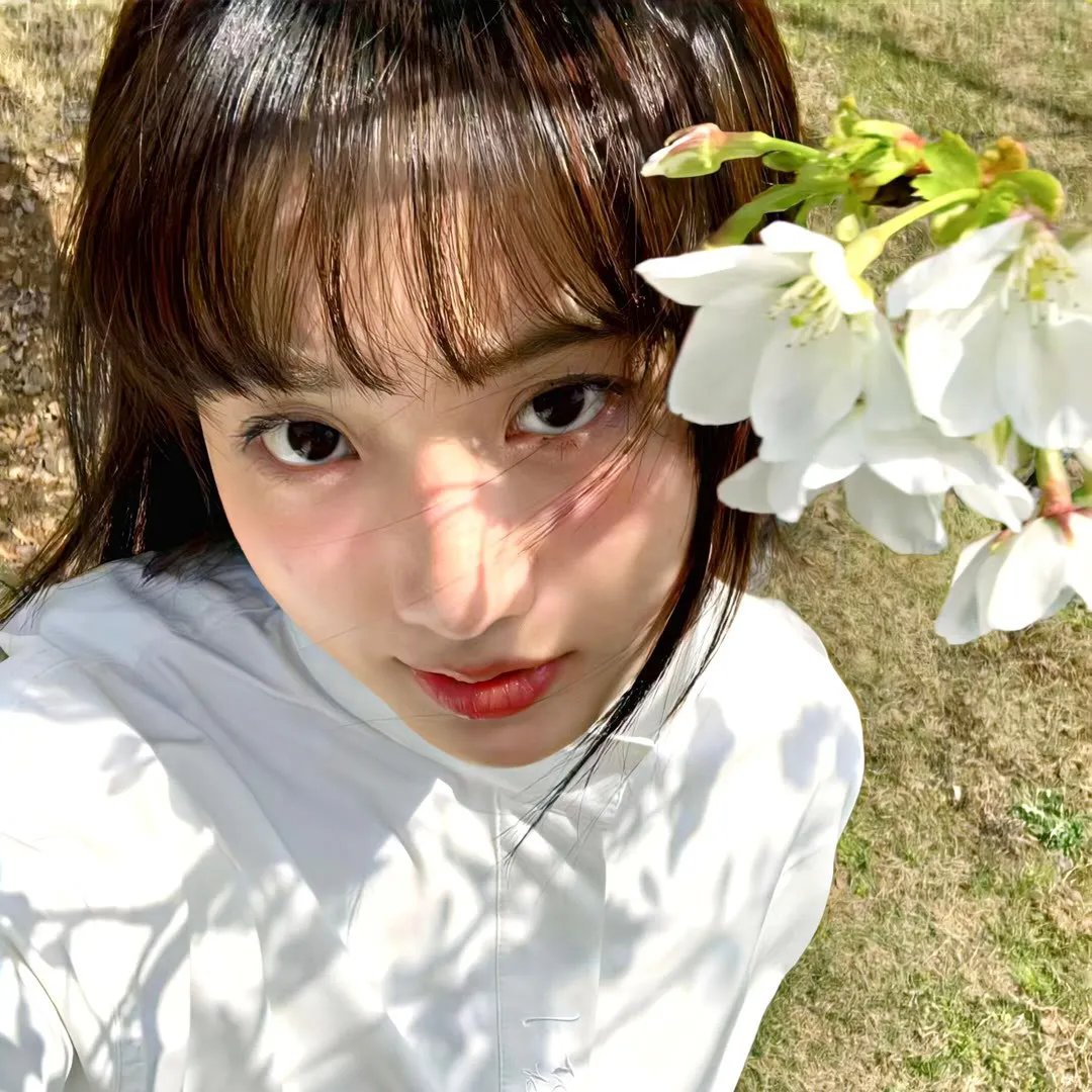 登陆月球